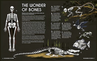 Aperçu du contenu 3_Bones: An Inside Look At The Animal Kingdom