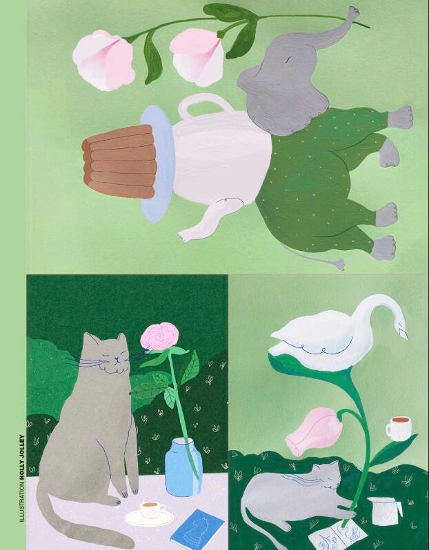 Aperçu du contenu 2_Book for Paper Lovers: Color Your World