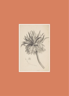 Aper&ccedil;u du contenu 2_Book for Paper Lovers: Bursting with Blooms