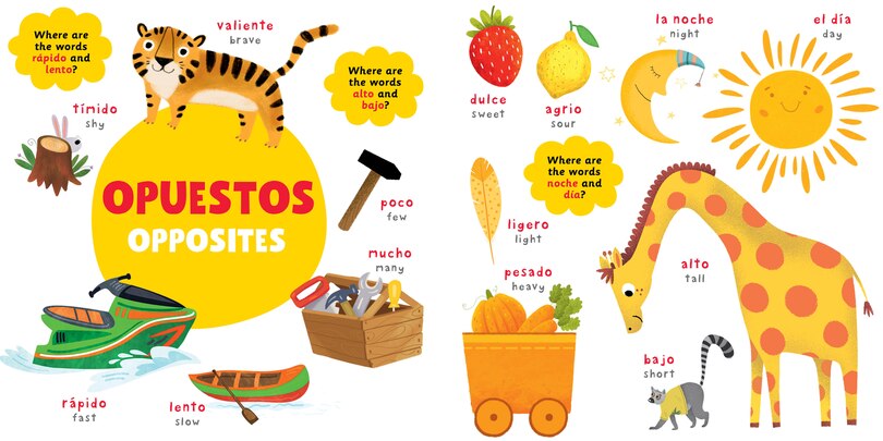 Sample content 2_Book Of Words - Libro De Palabras