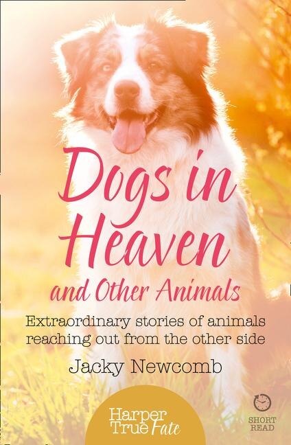 Front cover_Dogs in Heaven