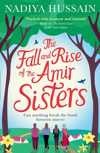 Couverture_The Fall And Rise Of The Amir Sisters