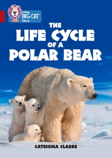 Front cover_Collins Big Cat - The Life Cycle of a Polar Bear