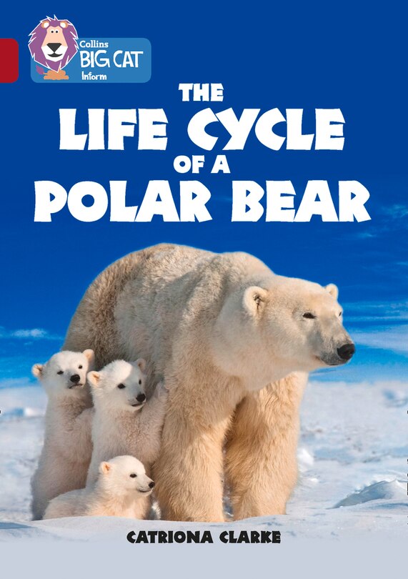 Front cover_Collins Big Cat - The Life Cycle of a Polar Bear
