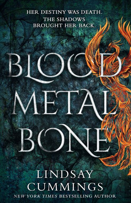 Front cover_Blood Metal Bone