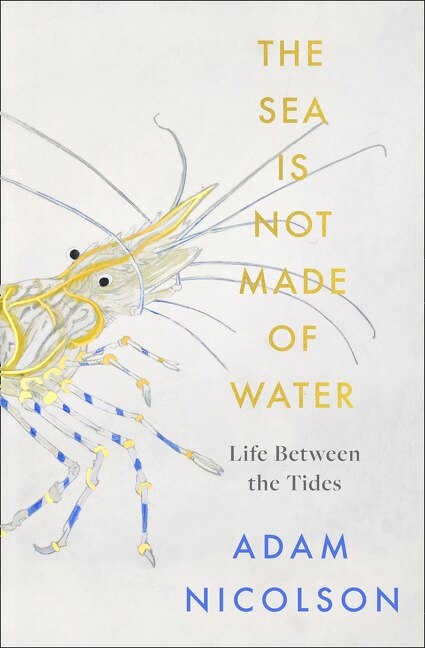 Front cover_The Sea is Not Made of Water
