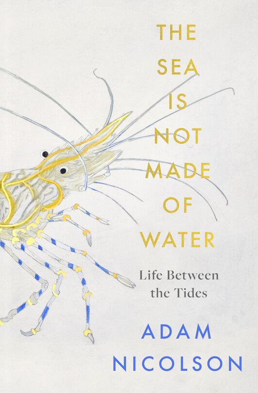Front cover_The Sea is Not Made of Water: Life Between the Tides