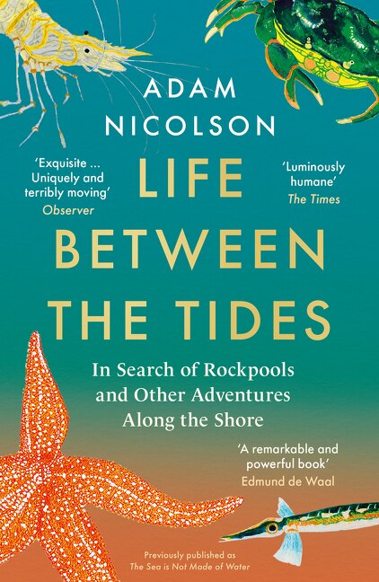Front cover_Life Between the Tides: In Search of Rockpools and Other Adventures Along the Shore