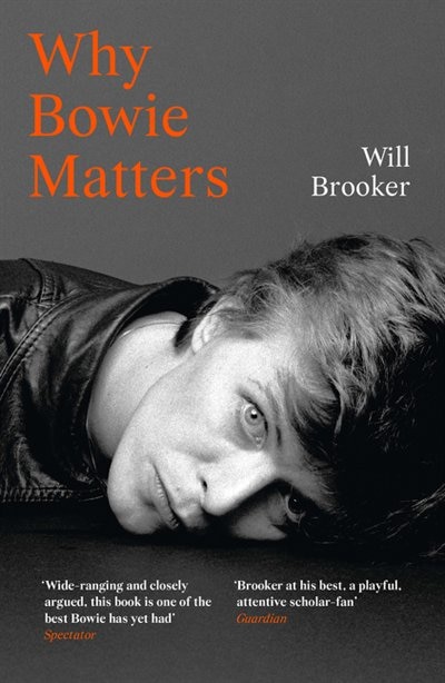 Couverture_Why Bowie Matters