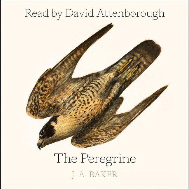 Front cover_The Peregrine Lib/E