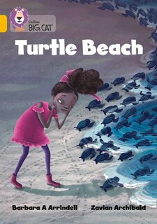 Couverture_Turtle Beach
