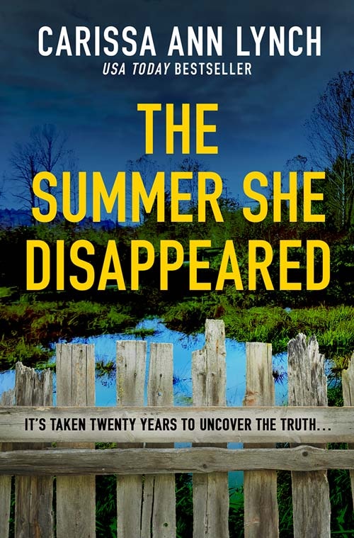 Front cover_The Summer She Disappeared