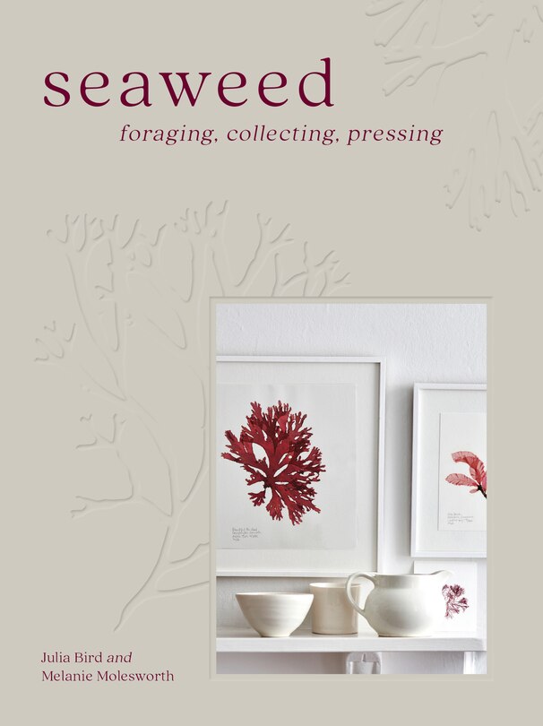Front cover_Seaweed: Foraging, Collecting, Pressing