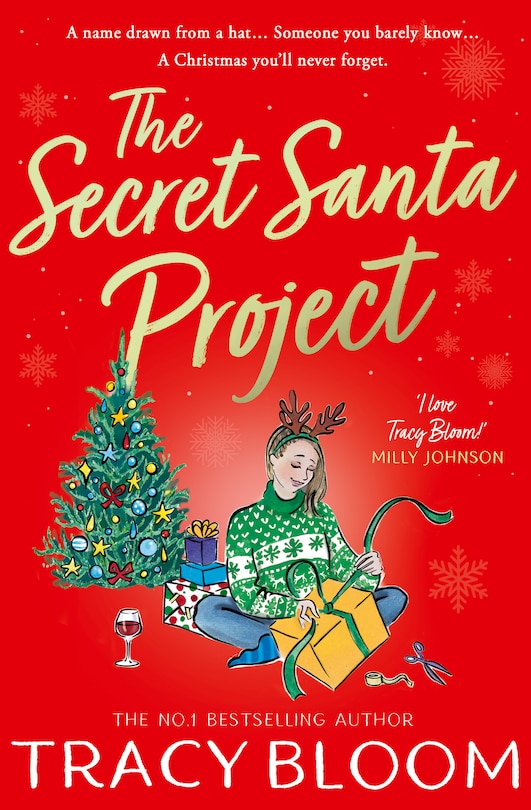Couverture_The Secret Santa Project