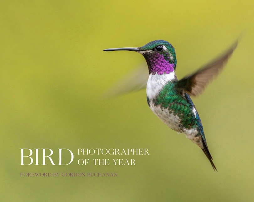 Front cover_Bird Photographer of the Year (Bird Photographer of the Year)