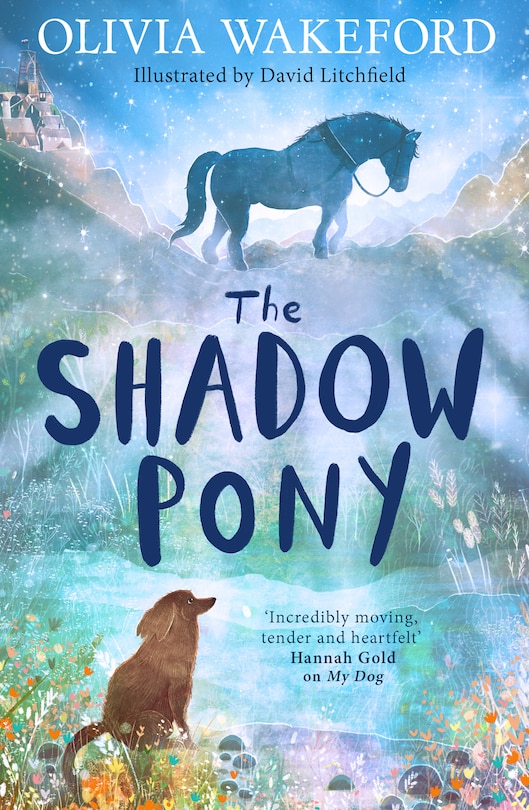 Front cover_The Shadow Pony