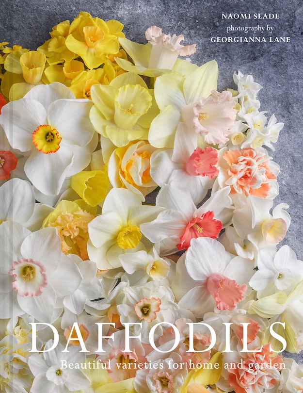 Couverture_Daffodils