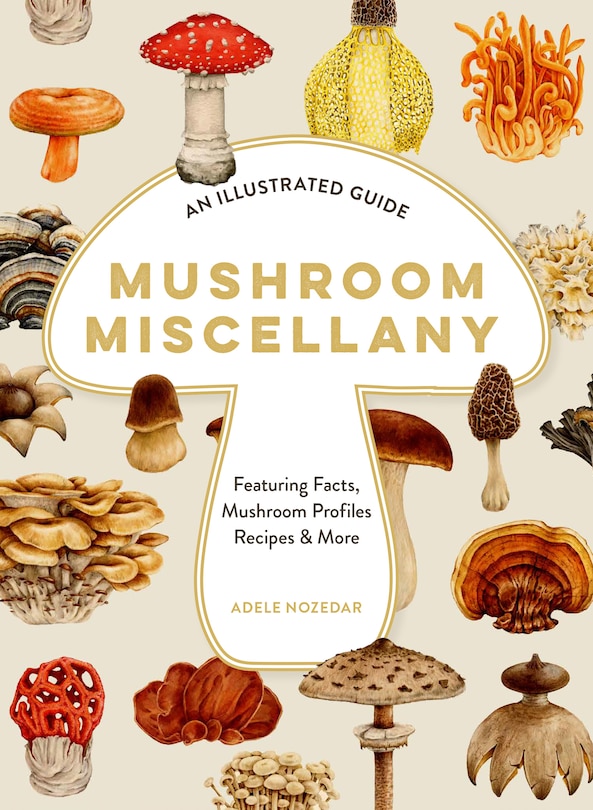 Front cover_Mushroom Miscellany: An Illustrated Guide Featuring Fun Facts, Mushroom Profiles, Recipes & More