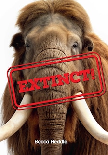 Front cover_Big Cat for Little Wandle Fluency