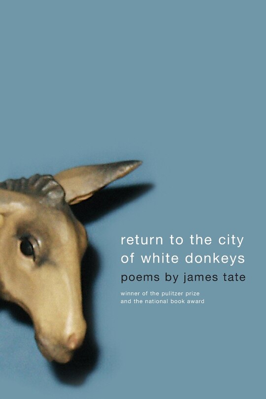 Front cover_Return To The City Of White Donkeys