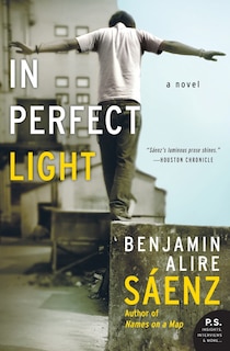 In Perfect Light: A Novel