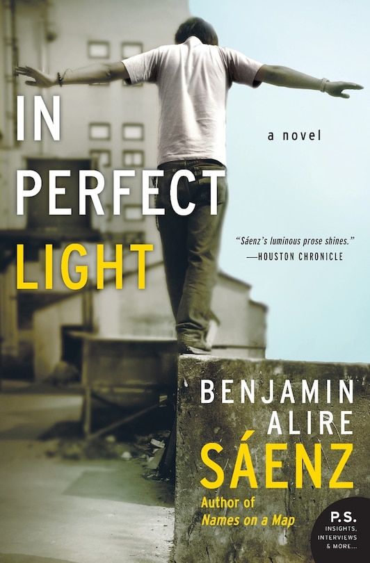 In Perfect Light: A Novel