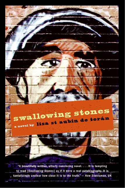 Front cover_Swallowing Stones