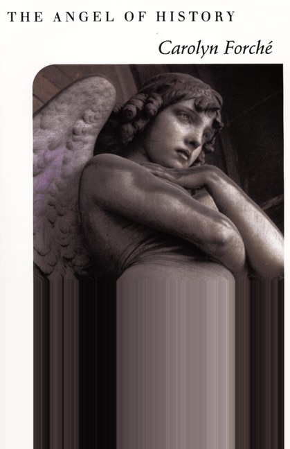 Couverture_The Angel of History