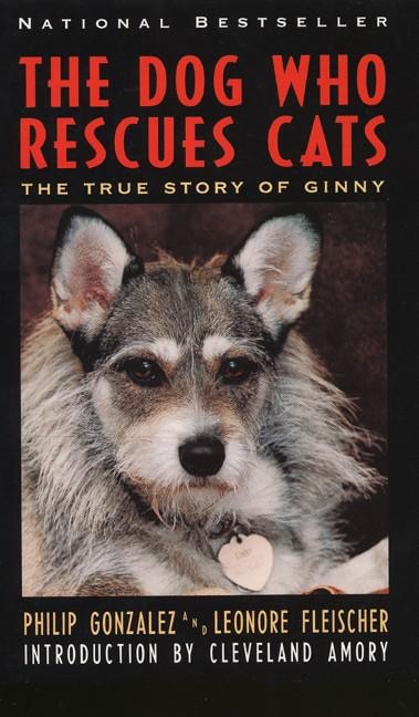 Front cover_The Dog Who Rescues Cats