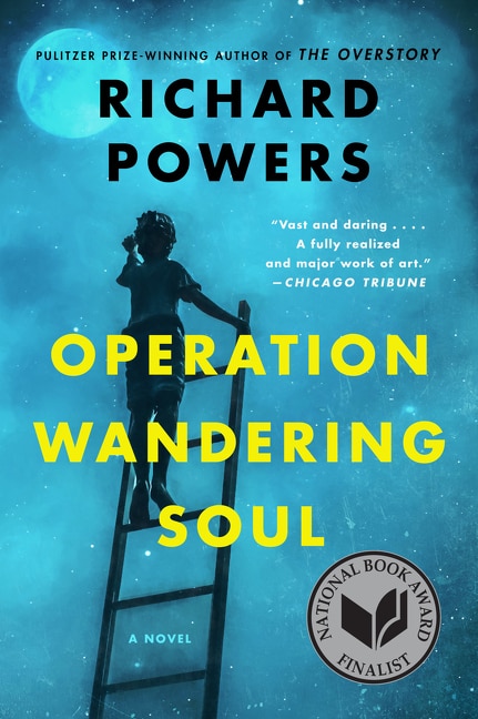 Front cover_Operation Wandering Soul