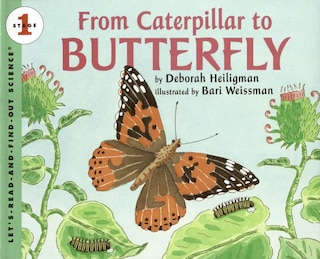 Front cover_From Caterpillar To Butterfly Big Book