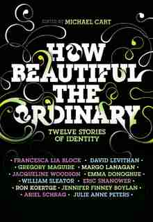How Beautiful The Ordinary: Twelve Stories of Identity by Michael Cart