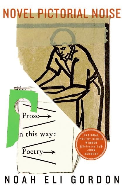 Couverture_Novel Pictorial Noise