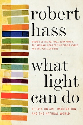 What Light Can Do: Essays On Art, Imagination, And The Natural World