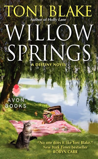 Front cover_Willow Springs