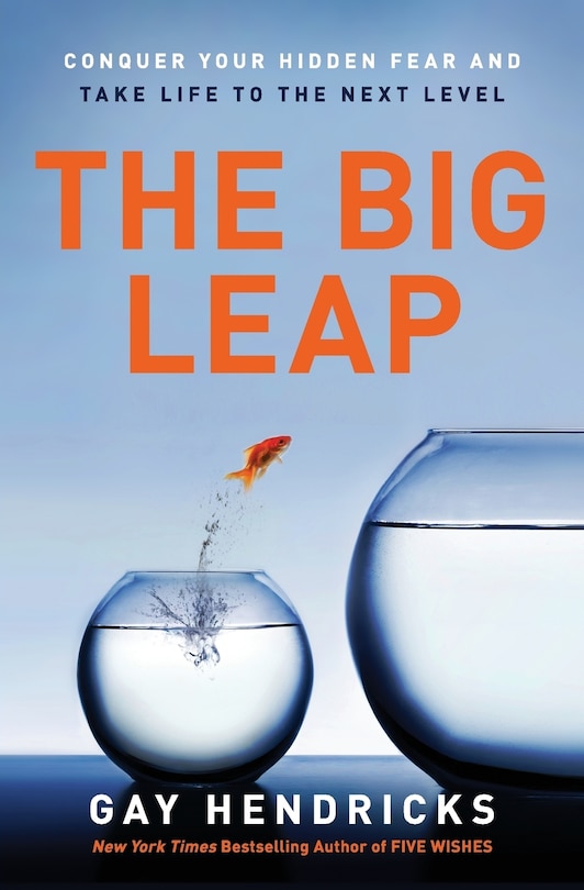 Front cover_The Big Leap