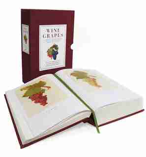 Wine Grapes: A Complete Guide to 1,368 Vine Varieties, Including Their Origins and Flavours de Jancis Robinson