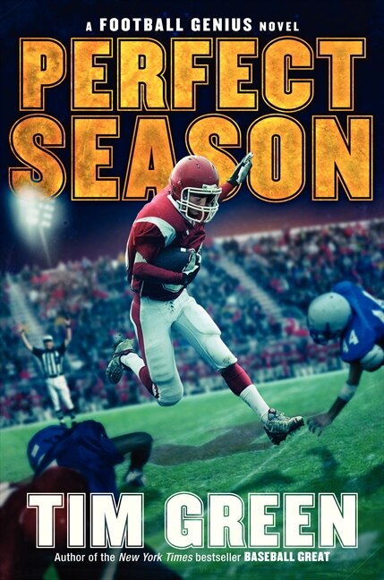 Couverture_Perfect Season