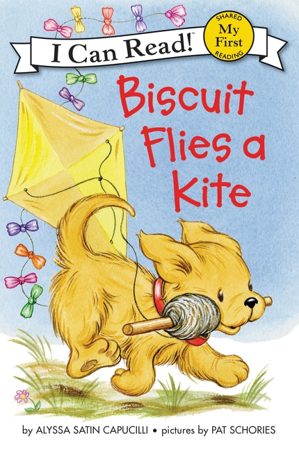 Front cover_Biscuit Flies A Kite