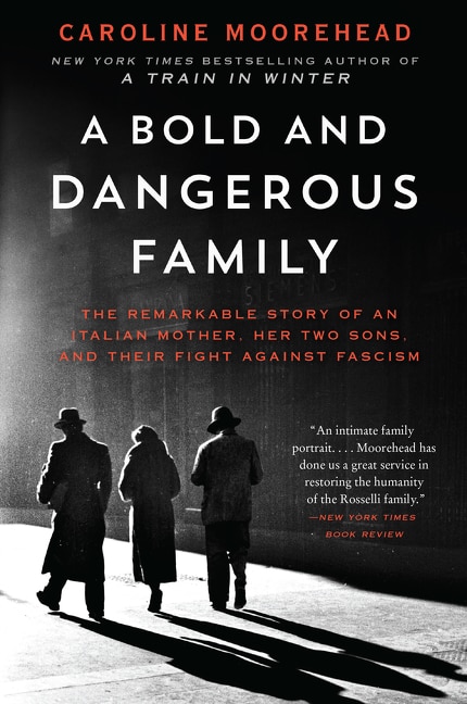 Couverture_A Bold and Dangerous Family