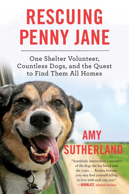 Couverture_Rescuing Penny Jane