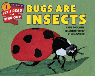 Front cover_Bugs Are Insects