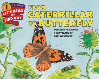 Front cover_From Caterpillar To Butterfly