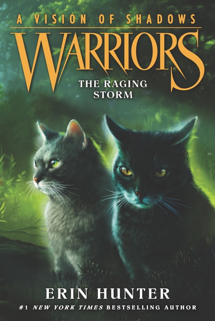Couverture_Warriors: A Vision Of Shadows #6: The Raging Storm