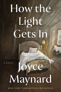 Front cover_How the Light Gets In