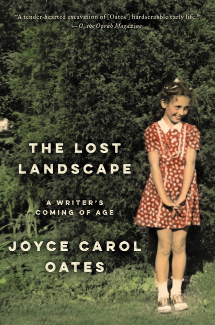 Couverture_The Lost Landscape