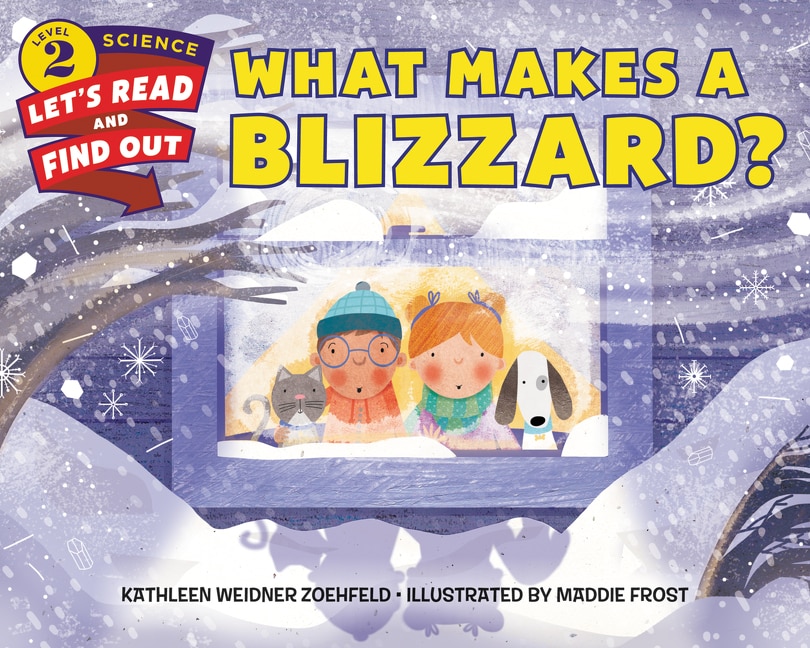 Couverture_What Makes A Blizzard?