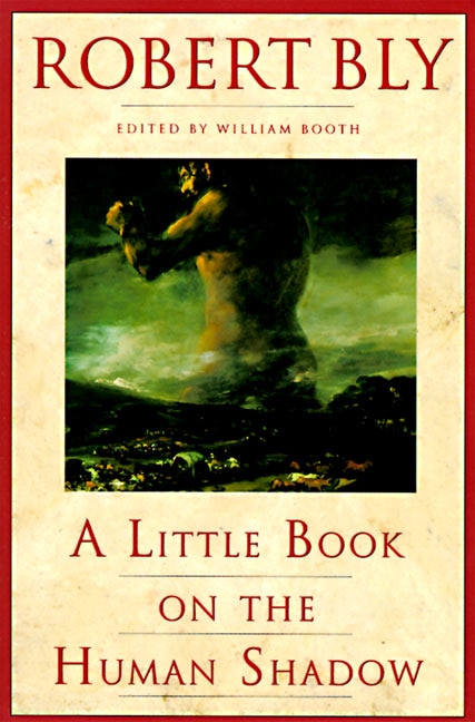 Couverture_A Little Book on the Human Shadow