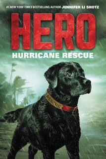 Couverture_Hero: Hurricane Rescue