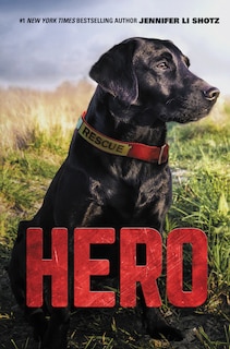 Couverture_Hero